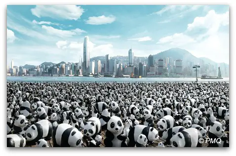 1600 Pandas Exhibit in Hong Kong