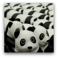 1600 Pandas