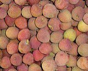 Fresh Fruits and Vegetable Markets in Hong Kong