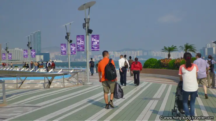 Avenue of the Stars: the wide promenade 