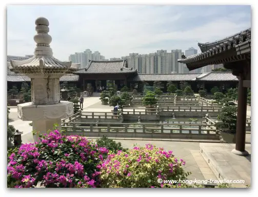 Blooming Bouganvilleas adorn the courtyards at the Chi Lin Nunnery