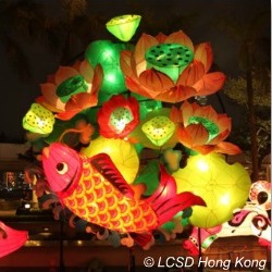 Chinese Lantern Festival Hong Kong Goldfish Lantern