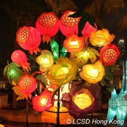Chinese Lantern Festival Hong Kong Pomegranate Lantern