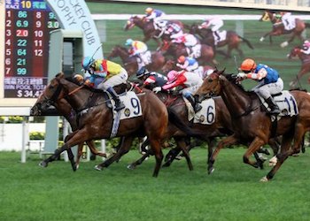 Hong Kong Horse Races at Sha Tin Racecourse