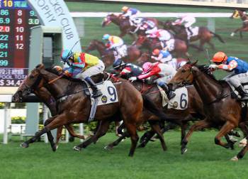 Chinese New Year Horse Races at Sha Tin