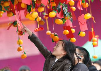 Hong Kong Chinese New Year Wishing Trees