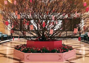 Chinese New Year Decorations at Langham Hong Kong Chinese New Year Decorations at Langham Hong Kong