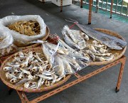 Dried Seafood Market Aberdeen