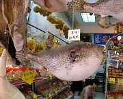 Dried Seafood Market Tai O