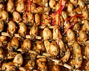 Dried Seafood Market Tai O