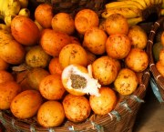 Fresh Fruits and Vegetable Markets in Hong Kong