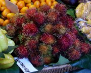 Fresh Fruits and Vegetable Markets in Hong Kong