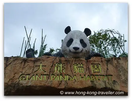 Giant Panda Habitat