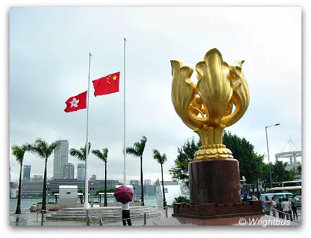 Golden Bauhinia