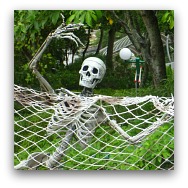 Skeletons for Halloween