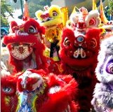 Hong Kong January Events: Lion Dances