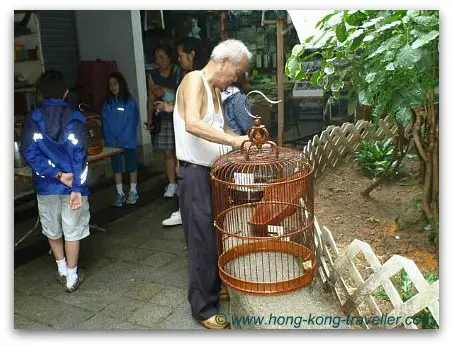 Hong Kong Bird Market