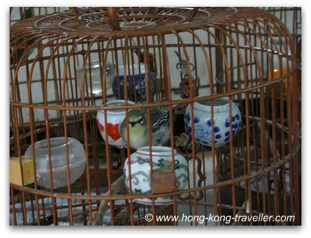 Hong Kong Bird Market