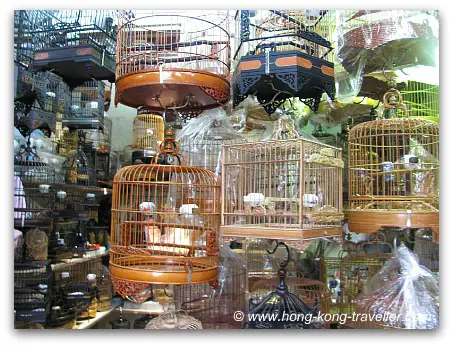 Hong Kong Bird Market