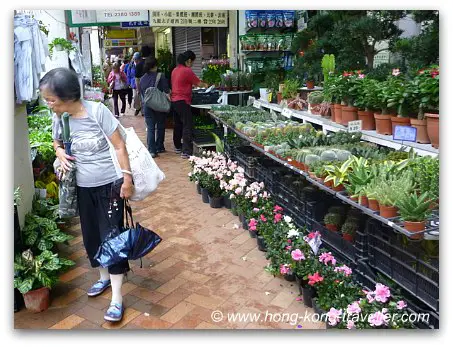 Hong Kong Flower Market Stands