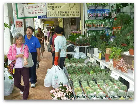 Hong Kong Flower Market Stands