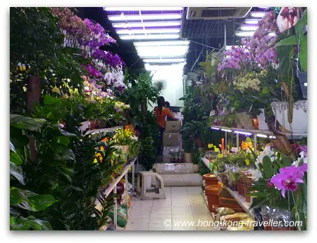 Hong Kong Flower Market Stands