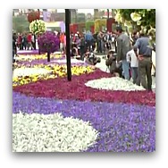 Hong Kong Flower Show