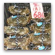 Hong Kong Markets: Seafood Market