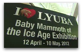 IFC Baby Mammoth