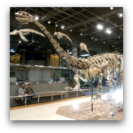 Hong Kong Museums: Science Museum