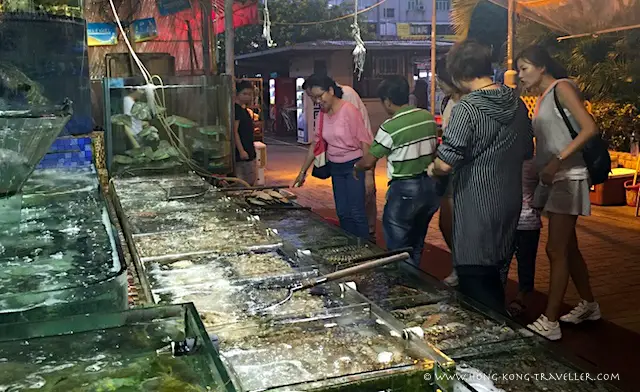 Fresh seafood tanks in Saikung