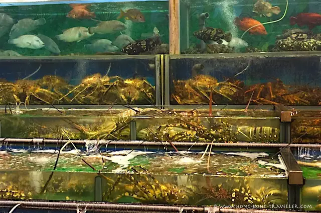 Fresh seafood tanks in Saikung