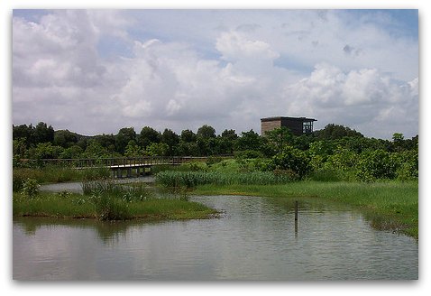 Hong Kong Wetland Park Bird Hide