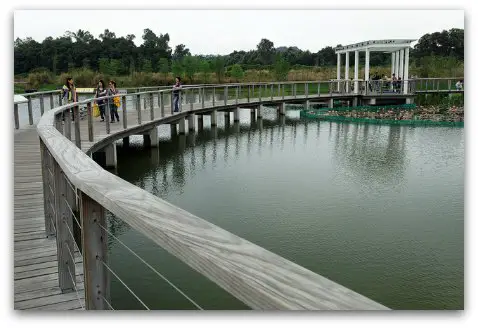 Hong Kong Wetland Park Stream Walk