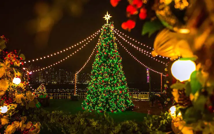 Hong Kong Christmas Tree and Decorations West Kowloon