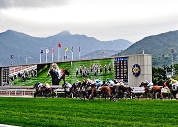 Hong Kong Horse Races in Sha Tin