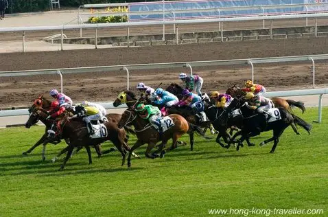 Happy Valley Hong Kong - Horse Racing At Its Best