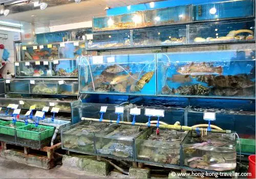 Seafood Tanks in Sok Kwu Wan