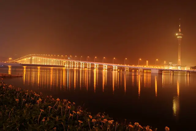 Macau Taipa Bridge at Night