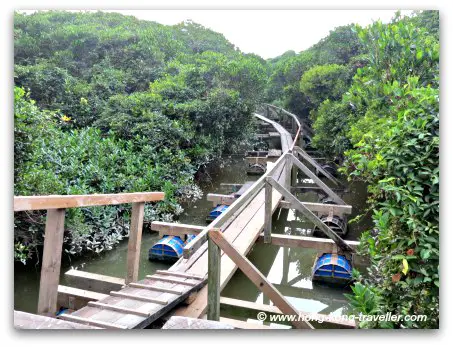 Mai Po Nature Reserve, the floating boardwalk that takes you to the mudflats of Inner Deep Bay