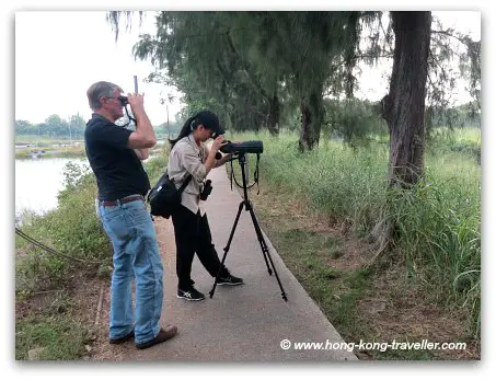 Mai Po Nature Reserve Gei Wai Paved Walkways