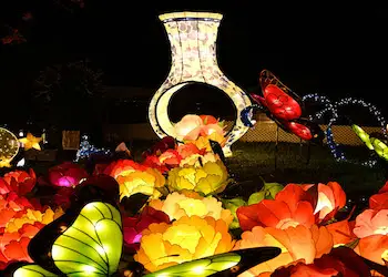 Mid-Autumn Lantern Displays Floral
