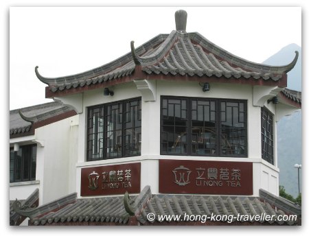 Ngong Ping Village  