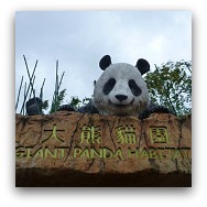 Ocean Park Panda Habitat 