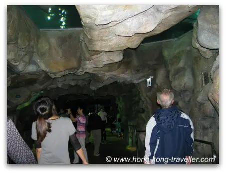 Ocean Park Grand Aquarium Reef Tunnel Dome