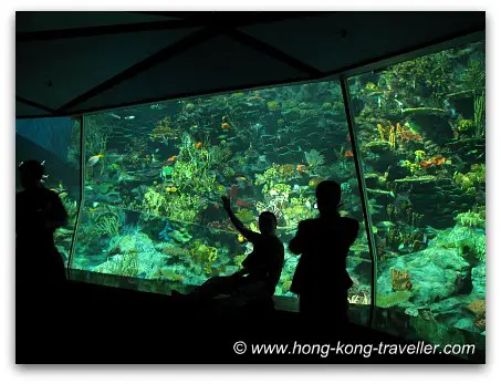 Ocean Park Reef Aquarium