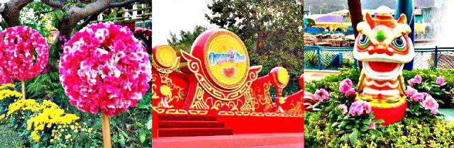 Chinese New Year Decor at Ocean Park Chinese New Year Decor at Ocean Park