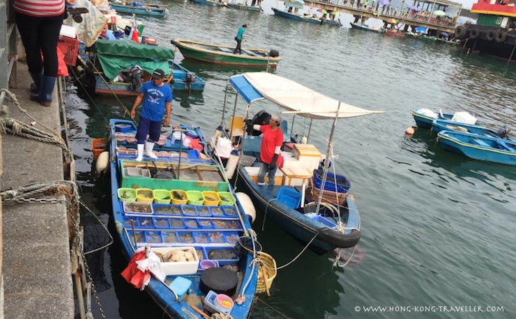 The Colorful Sai Kung Seafood Floating Market