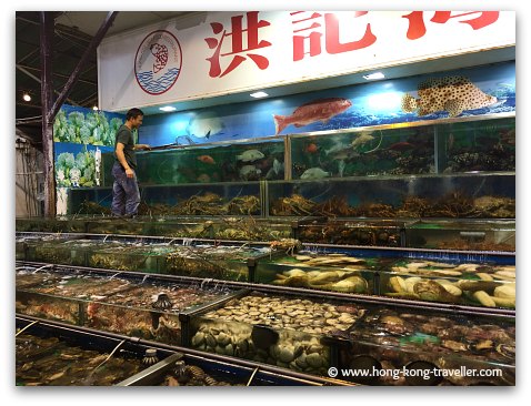 Tanks filled with fresh catch at Sai Kung