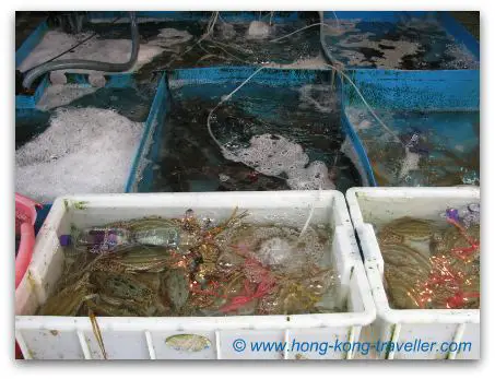 Hong Kong Seafood And Fish Markets